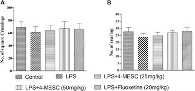 4-Methylesculetin ameliorates LPS-induced depression-like behavior through the inhibition of NLRP3 inflammasome